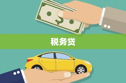 桦川税务贷