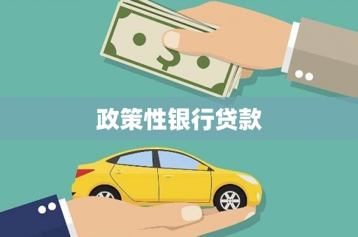 桦川政策性银行贷款