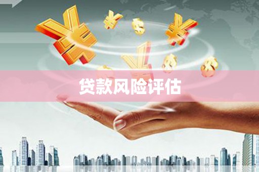 桦川贷款风险评估