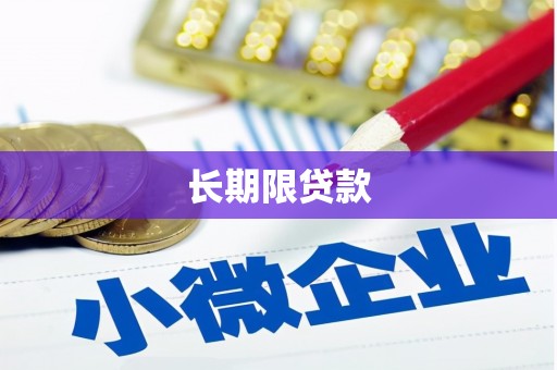 桦川长期限贷款