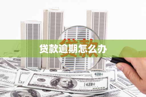 桦川贷款逾期怎么办