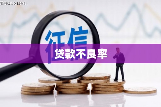 桦川贷款不良率