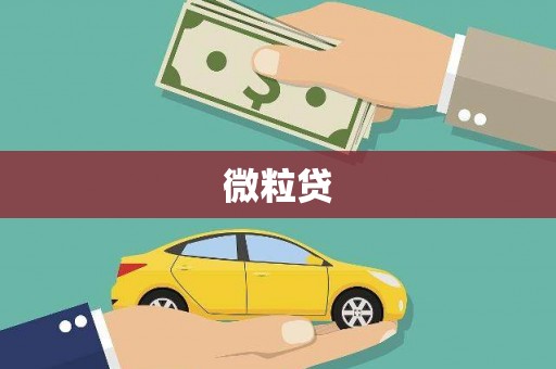 桦川微粒贷