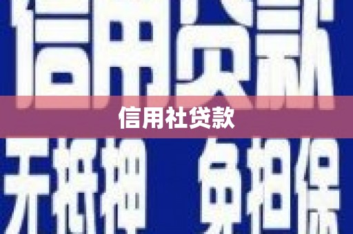 桦川信用社贷款