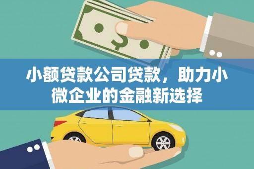 桦川小额贷款公司贷款，助力小微企业的金融新选择