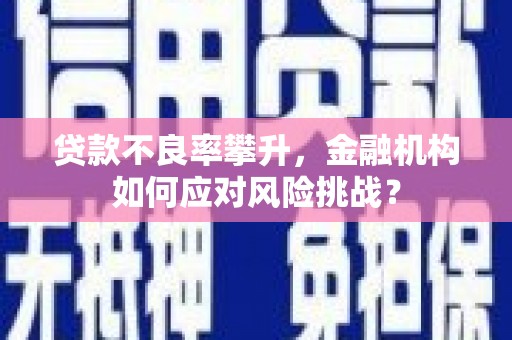 桦川贷款不良率攀升，金融机构如何应对风险挑战？