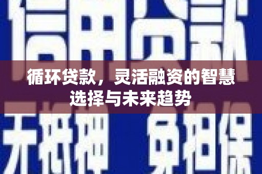 桦川循环贷款，灵活融资的智慧选择与未来趋势