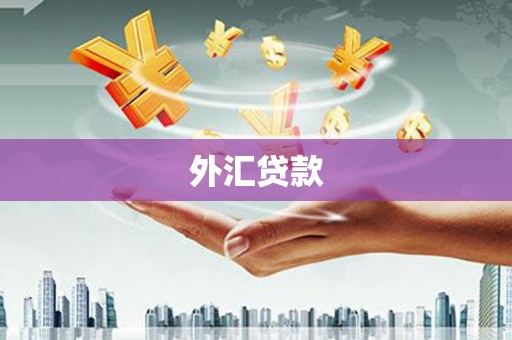 桦川外汇贷款