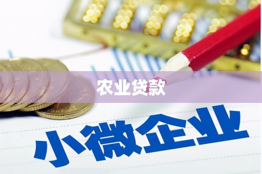 桦川农业贷款