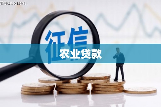 桦川农业贷款