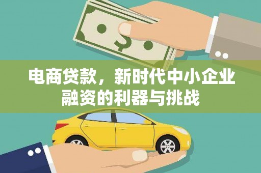 桦川电商贷款，新时代中小企业融资的利器与挑战
