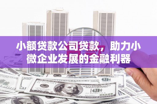 桦川小额贷款公司贷款，助力小微企业发展的金融利器
