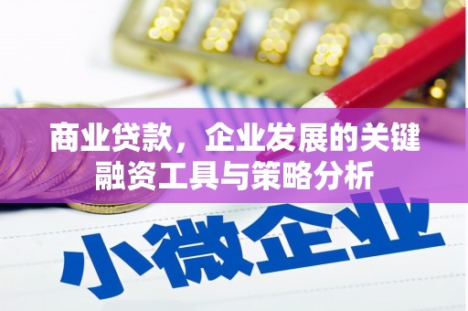 桦川商业贷款，企业发展的关键融资工具与策略分析