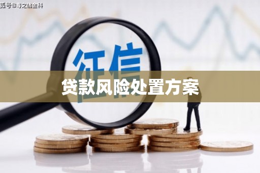 桦川贷款风险处置方案