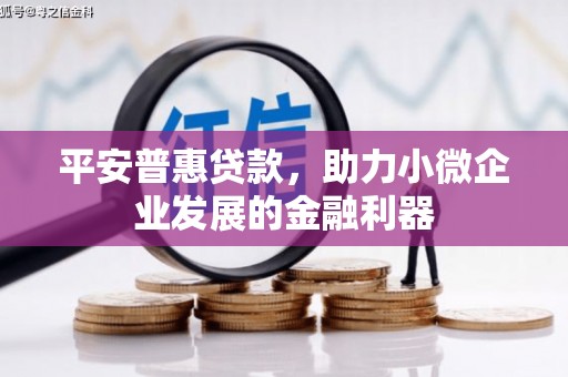 桦川平安普惠贷款，助力小微企业发展的金融利器