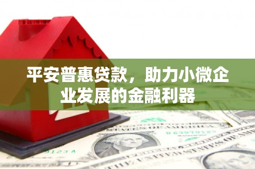 桦川平安普惠贷款，助力小微企业发展的金融利器