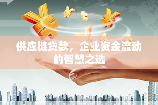 桦川供应链贷款，企业资金流动的智慧之选