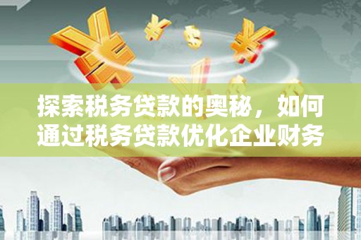 桦川探索税务贷款的奥秘，如何通过税务贷款优化企业财务