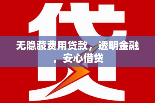 桦川无隐藏费用贷款，透明金融，安心借贷