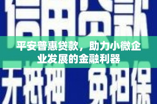 桦川平安普惠贷款，助力小微企业发展的金融利器