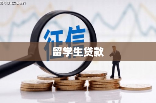 桦川留学生贷款