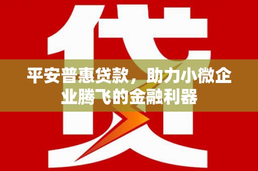 桦川平安普惠贷款，助力小微企业腾飞的金融利器