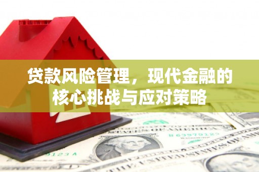 桦川贷款风险管理，现代金融的核心挑战与应对策略