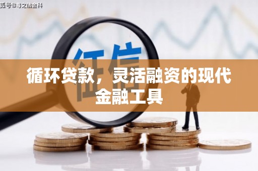 桦川循环贷款，灵活融资的现代金融工具