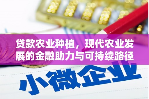 桦川贷款农业种植，现代农业发展的金融助力与可持续路径