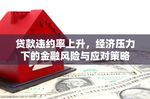 桦川贷款违约率上升，经济压力下的金融风险与应对策略