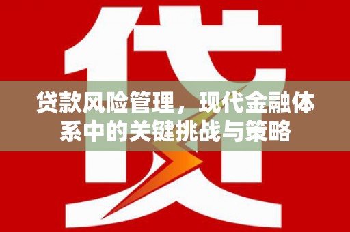 桦川贷款风险管理，现代金融体系中的关键挑战与策略