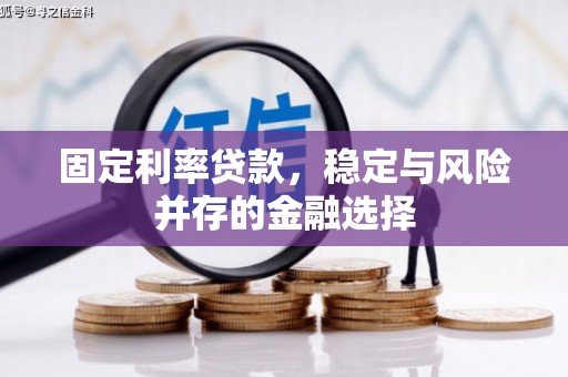 桦川固定利率贷款，稳定与风险并存的金融选择