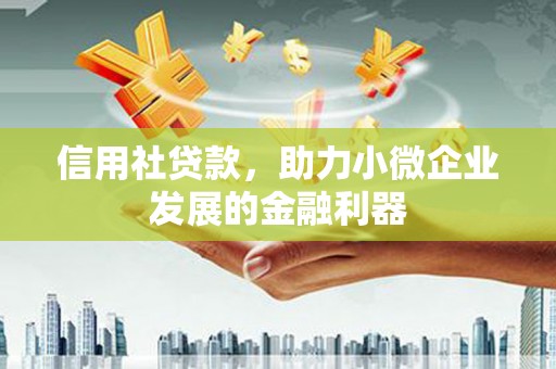 桦川信用社贷款，助力小微企业发展的金融利器
