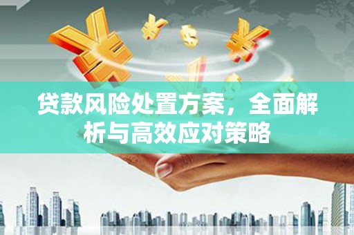 桦川贷款风险处置方案，全面解析与高效应对策略