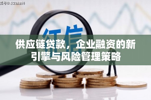 桦川供应链贷款，企业融资的新引擎与风险管理策略