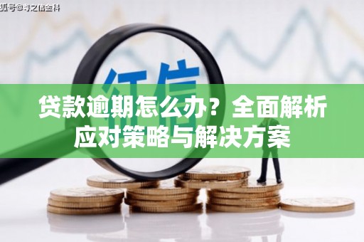 桦川贷款逾期怎么办？全面解析应对策略与解决方案