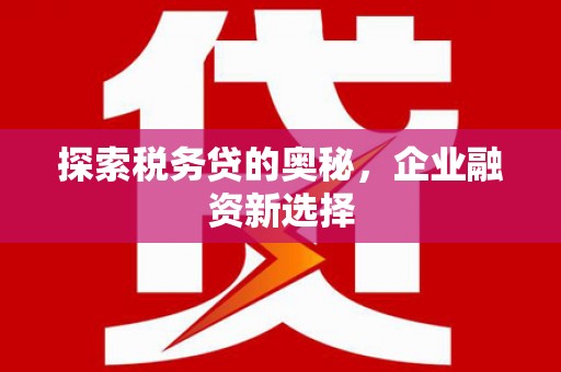 桦川探索税务贷的奥秘，企业融资新选择