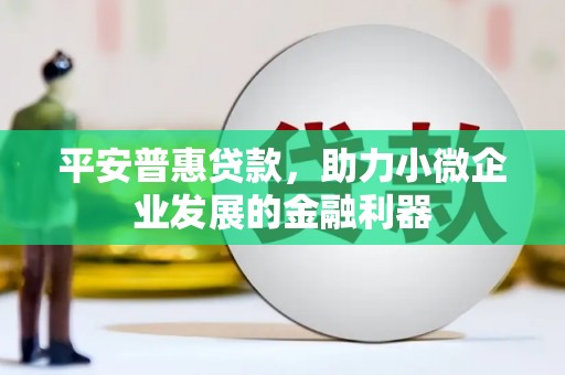 桦川平安普惠贷款，助力小微企业发展的金融利器