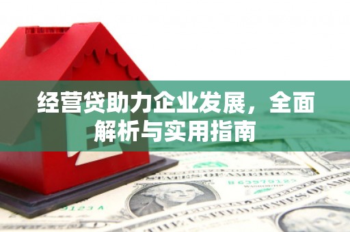 桦川经营贷助力企业发展，全面解析与实用指南