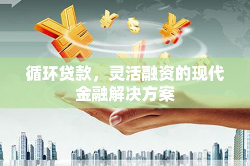 桦川循环贷款，灵活融资的现代金融解决方案