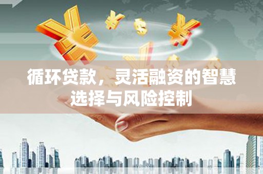 桦川循环贷款，灵活融资的智慧选择与风险控制