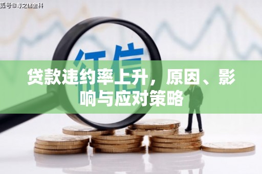 桦川贷款违约率上升，原因、影响与应对策略