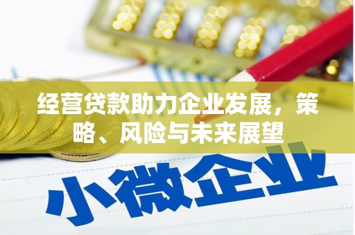 桦川经营贷款助力企业发展，策略、风险与未来展望