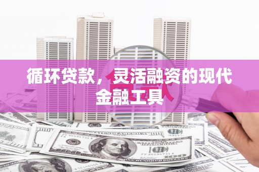 桦川循环贷款，灵活融资的现代金融工具