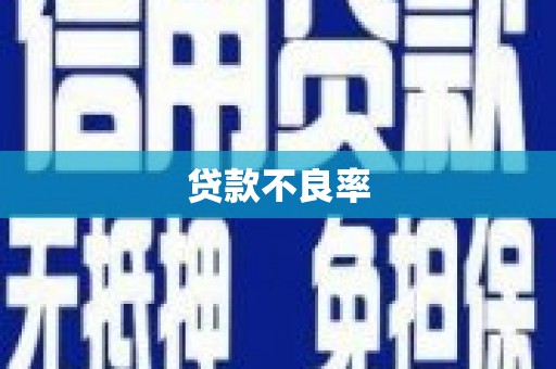桦川贷款不良率