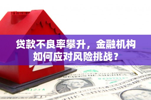 桦川贷款不良率攀升，金融机构如何应对风险挑战？