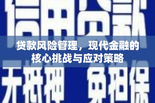 桦川贷款风险管理，现代金融的核心挑战与应对策略