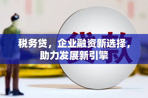 桦川税务贷，企业融资新选择，助力发展新引擎