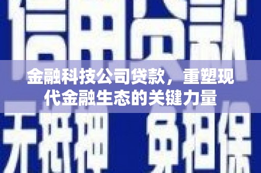 桦川金融科技公司贷款，重塑现代金融生态的关键力量