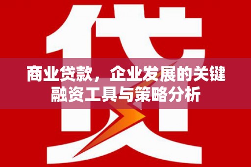 桦川商业贷款，企业发展的关键融资工具与策略分析